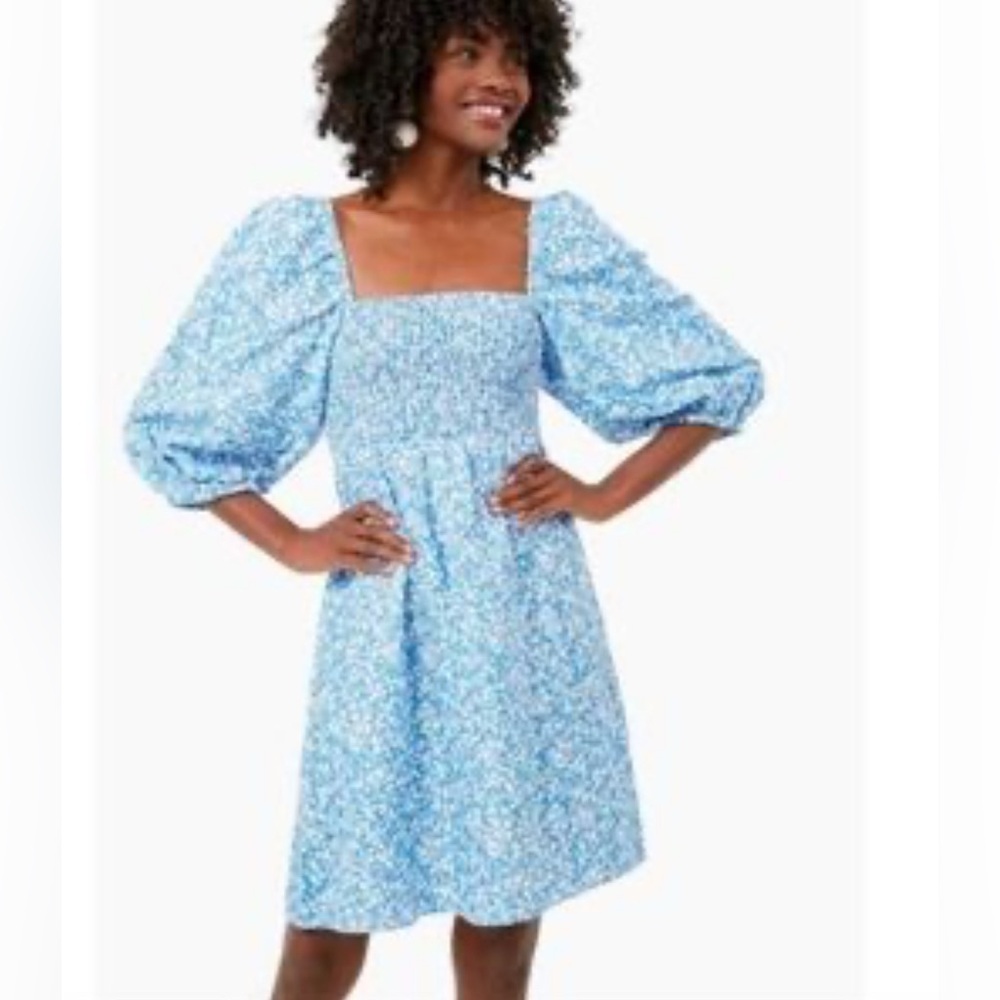 Tuckernuck Annie Smocked Mini Dress